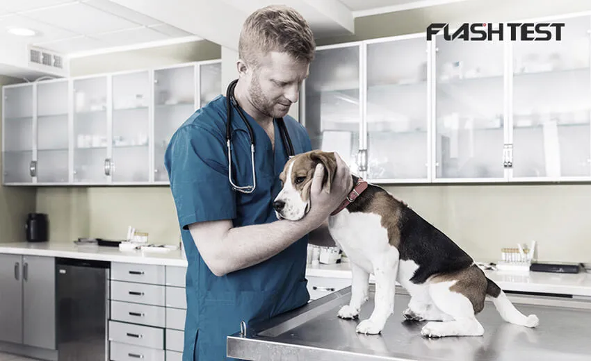 cost of pcr test for dogs