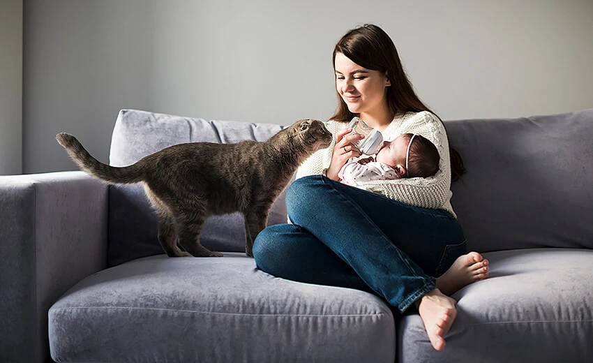 relaxin pregnancy test for dogs