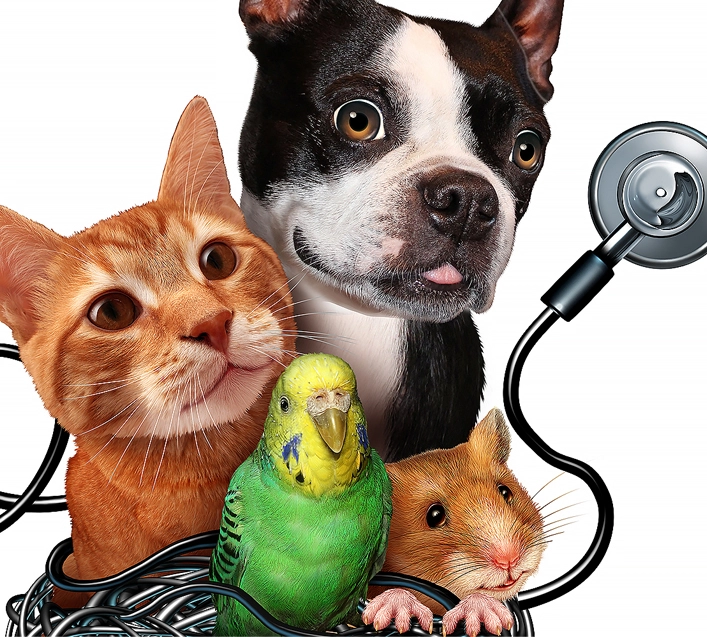 Advantages of Cross Species PCR