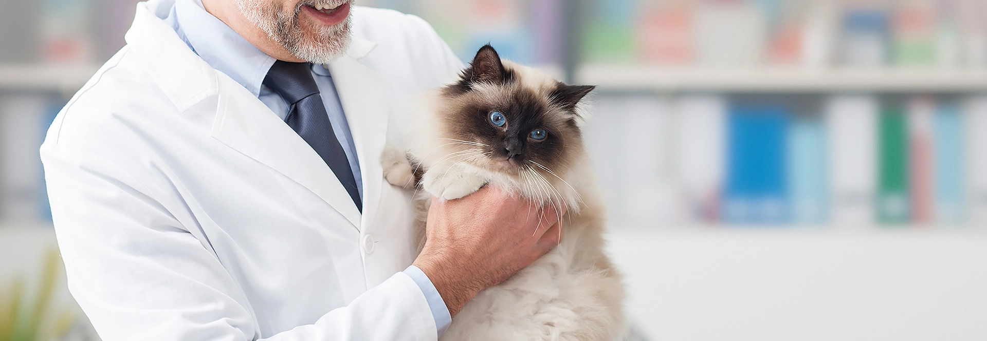 Feline PCR Test Kits