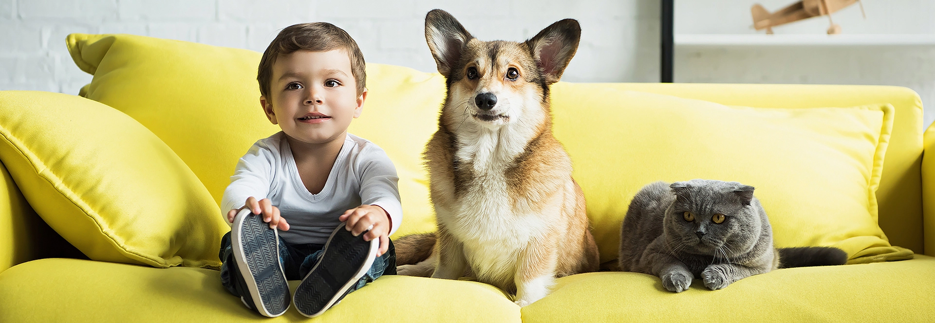 Zoonoses PCR Test Kit