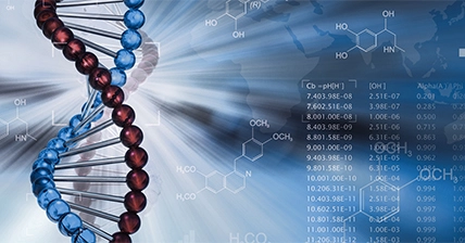 Pet PCR: the Choice to Guard Your Pet's Health