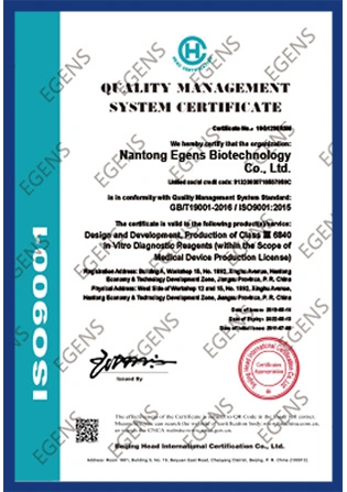 iso9001