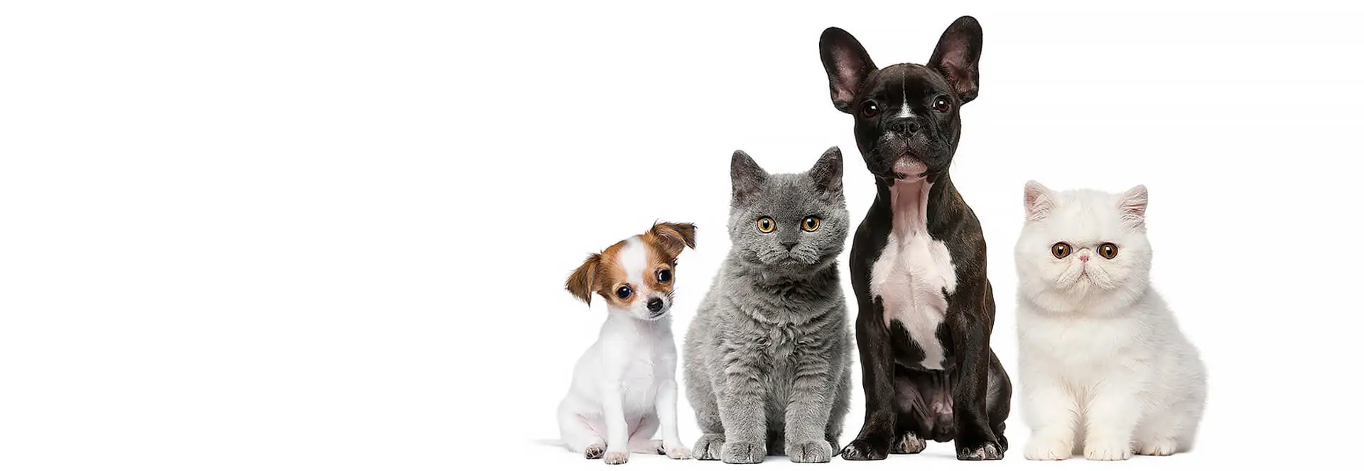 Cross Species PCR Test Kits