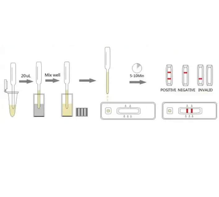 Advantages of Feline Rapid Test Kits