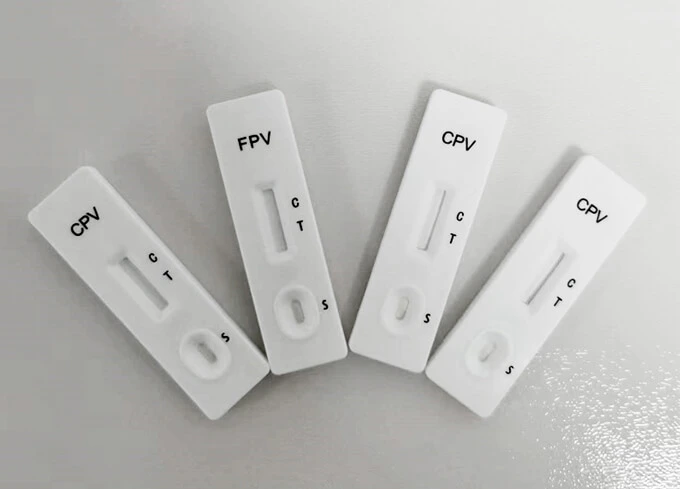 Comparison Between Rapid Test Kits and PCR Test Kits for Pets