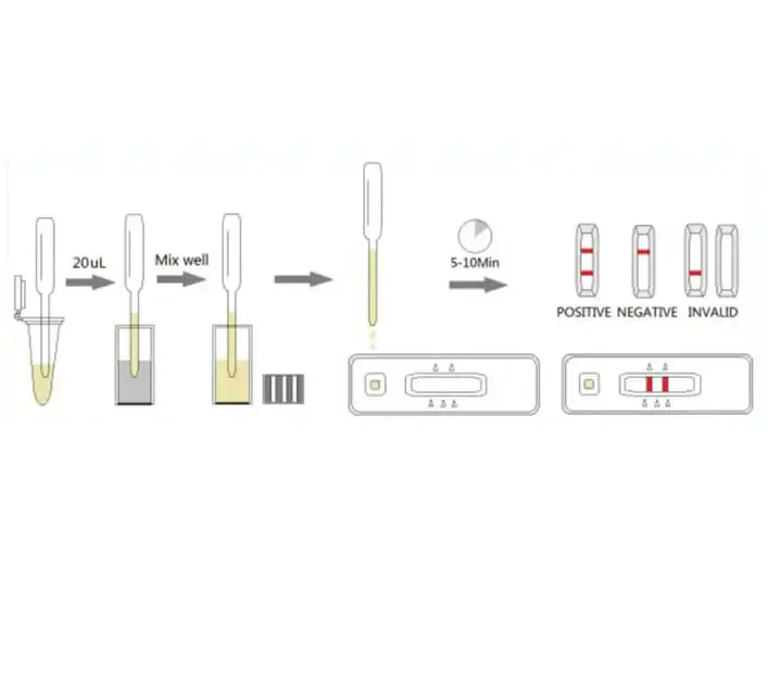 Advantages of Canine Rapid Test Kits
