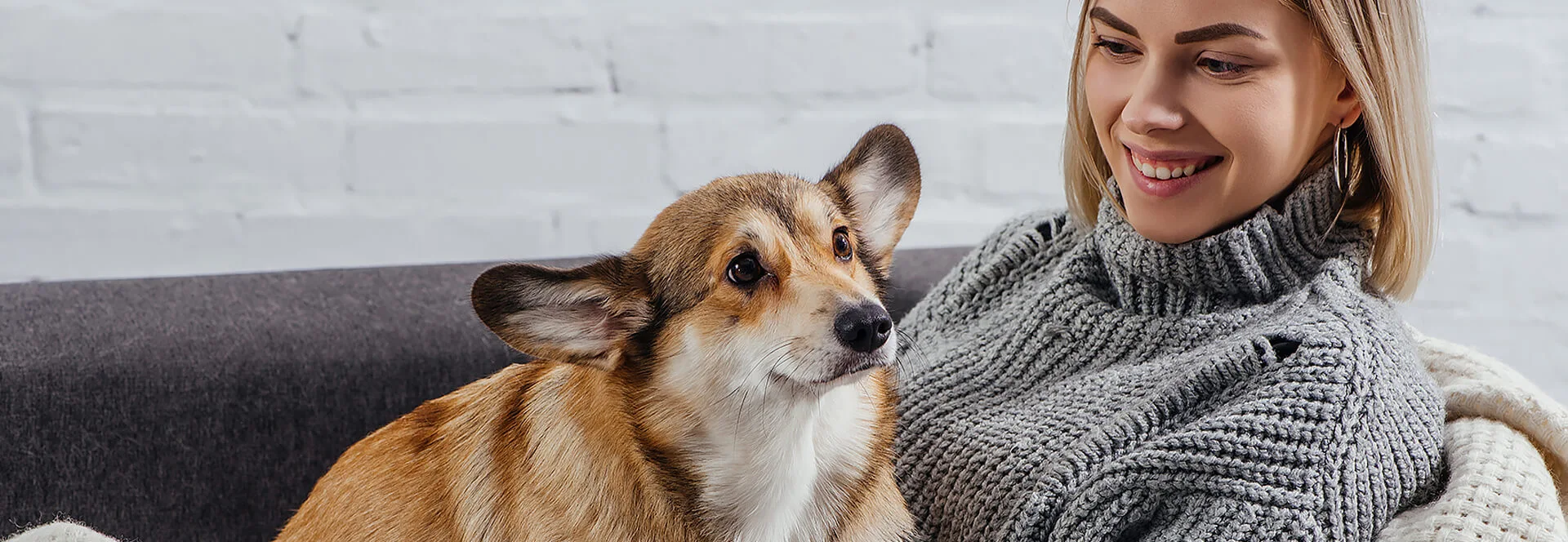 Feline Rapid Test Kits