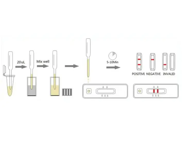 Advantages of Cross Species Rapid Test Kits