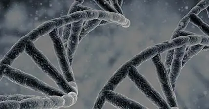 Why Modern Cardiac Troponin T Test Kits Are Essential for Rapid Cardiac Biomarker Screening