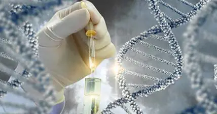 How Modern Cat Antigen Tests Improve Feline Disease Management