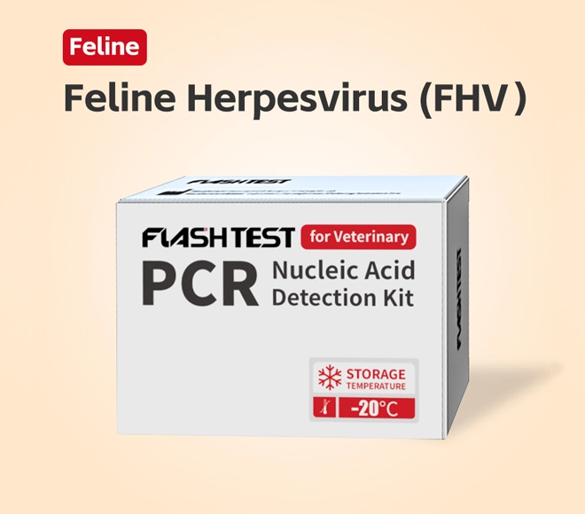 fhv-pcr-test.webp fhv-pcr-test.webp