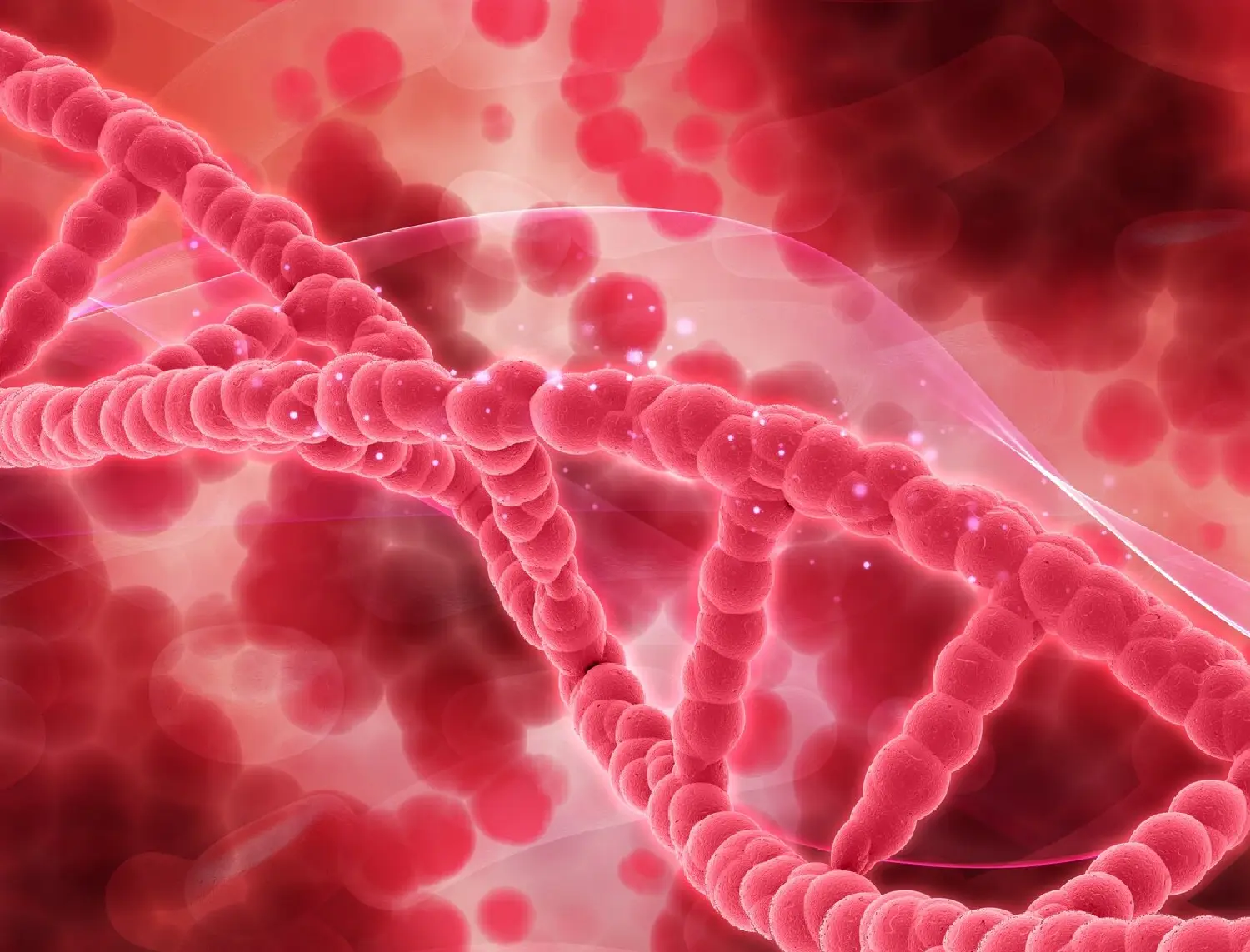 Cardiovascular markers FIA Test Kits