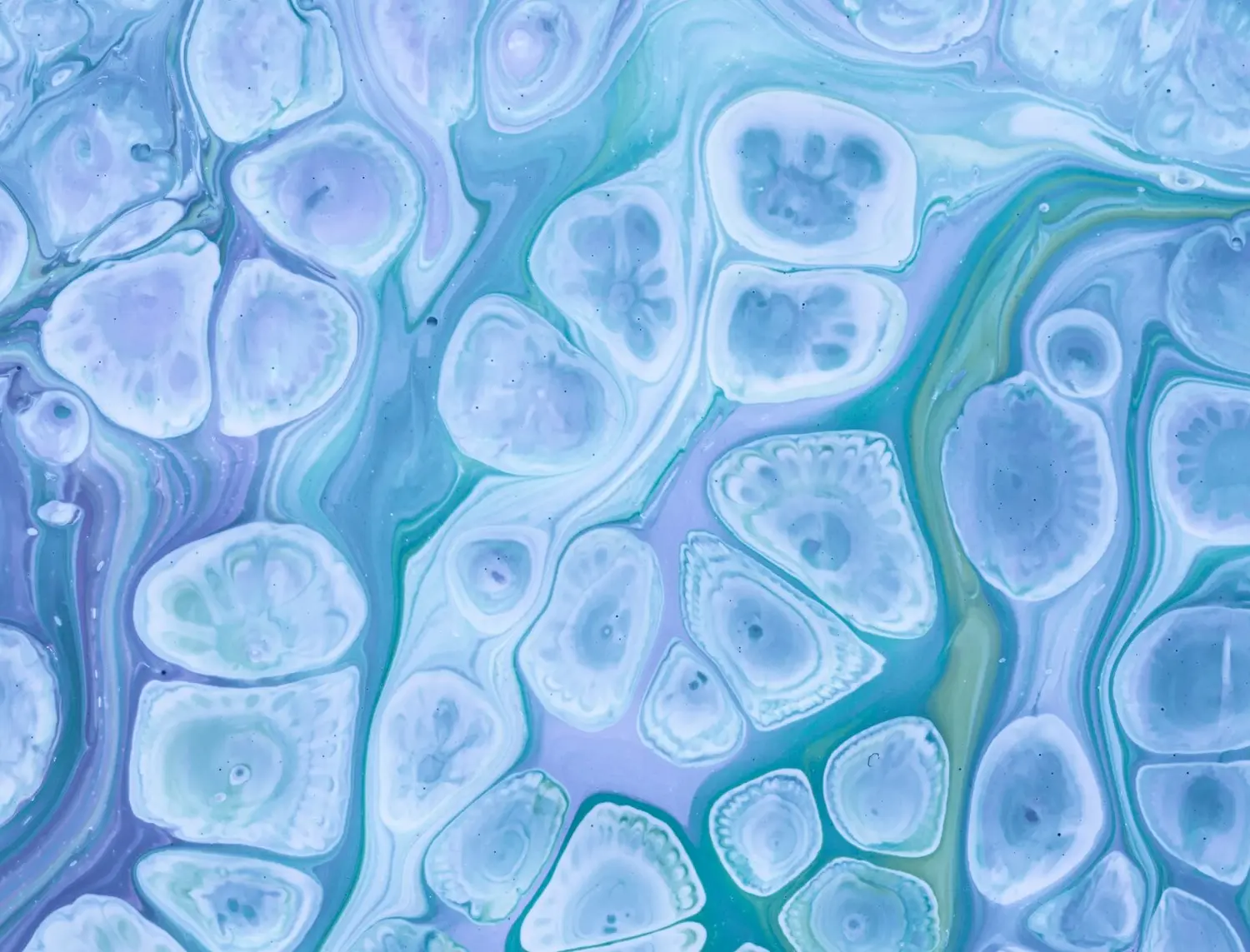 Markers of inflammation FIA Test Kits