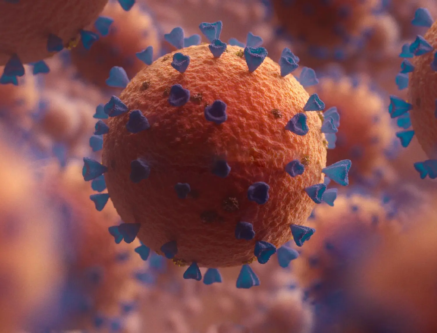 SARS-CoV-2 FIA Test Kits