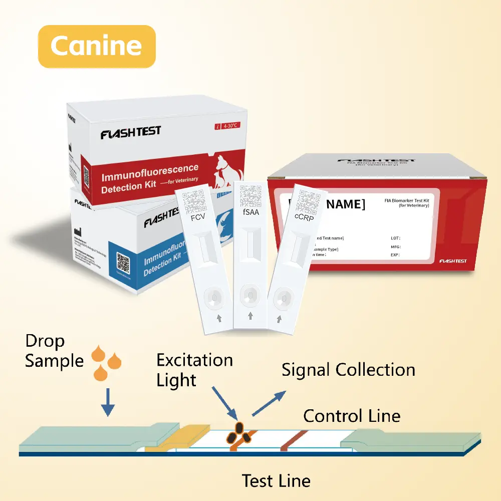 Canine N-terminal B-type natriuretic peptide (cNT-proBNP) Test Kit.webp