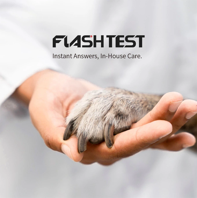 About Animal Lab Test Company