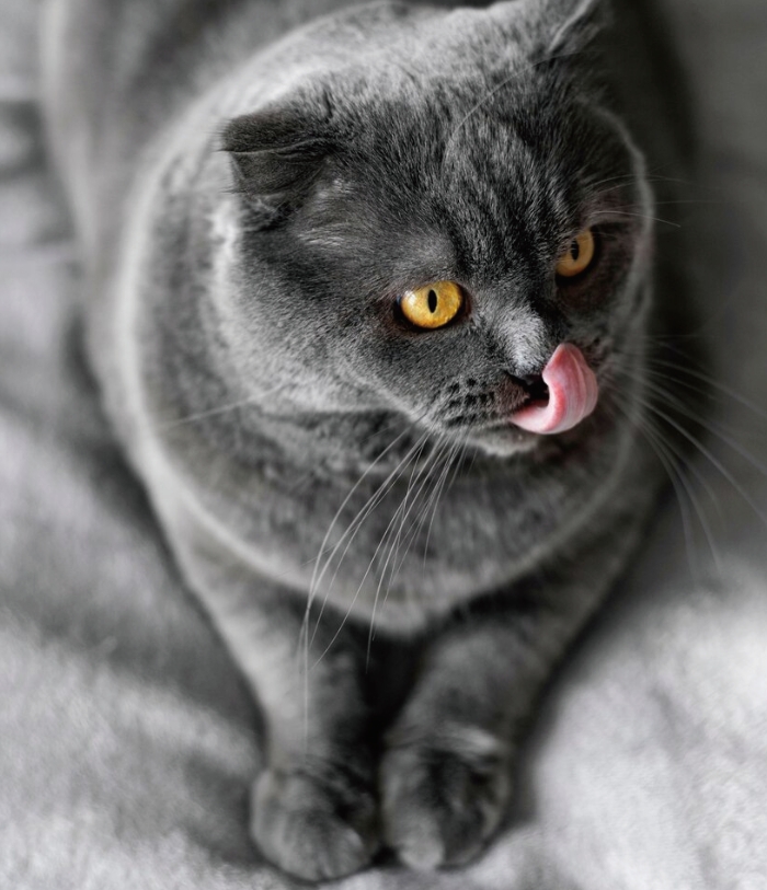 微信截图_20250219135907.png 微信截图_20250219135907.png