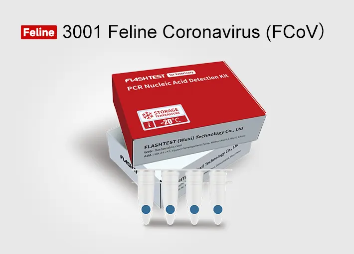 Protect Your Furry Friend: Understanding Feline Coronavirus Detection